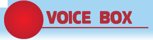 Voice Box section header