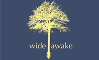 NWGQ: Wide Awake